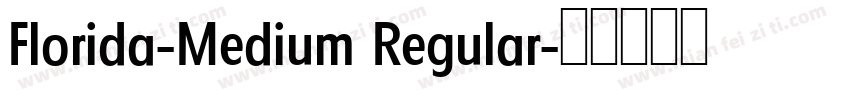 Florida-Medium Regular字体转换